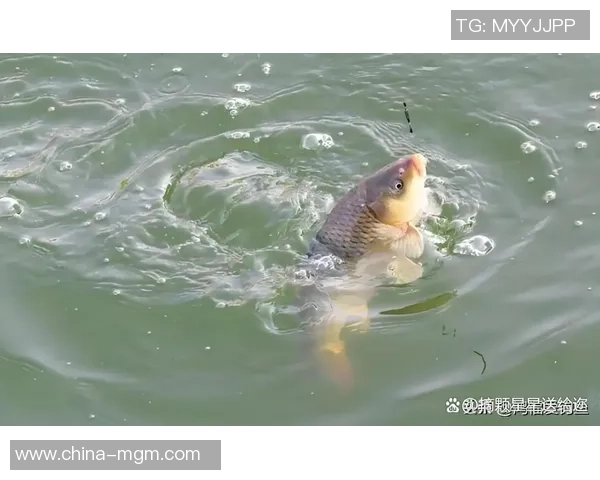 本周末,全国垂钓高手、骑行健将都往这儿赶